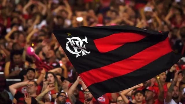 Flamengo artwork 8