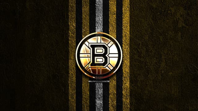 Boston Bruins artwork 8