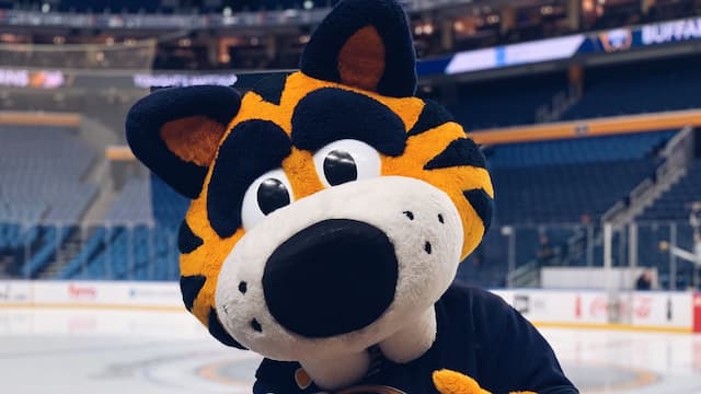 Buffalo Sabres artwork 8