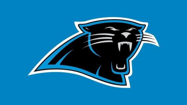 Carolina Panthers artwork 8