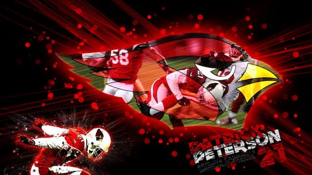 Arizona Cardinals artwork 8