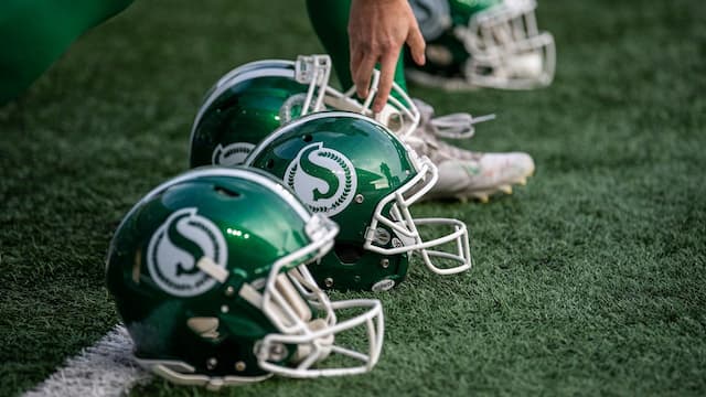 Saskatchewan Roughriders artwork 8