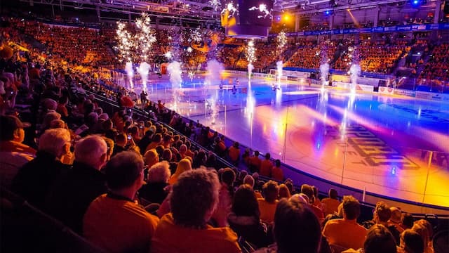 Växjö Lakers artwork 8