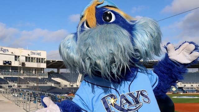 Tampa Bay Rays artwork 8