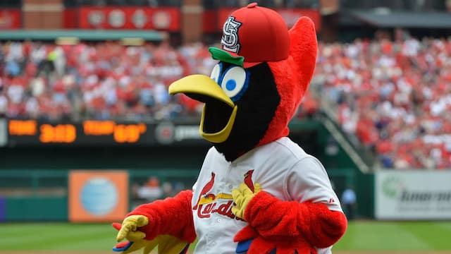 St. Louis Cardinals artwork 8