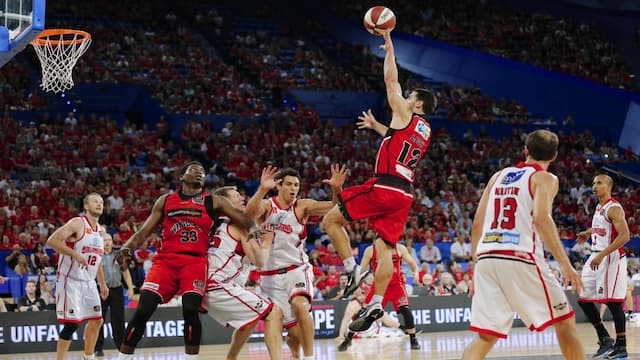 Perth Wildcats artwork 8