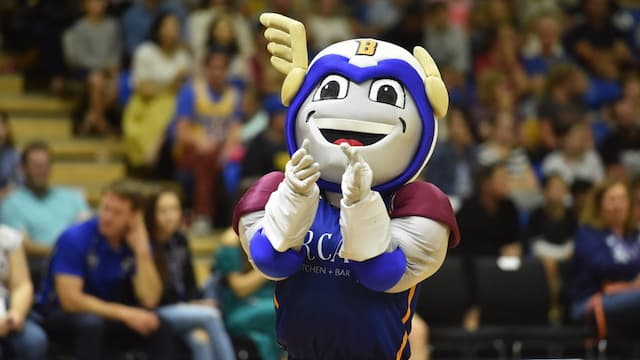 Brisbane Bullets artwork 8