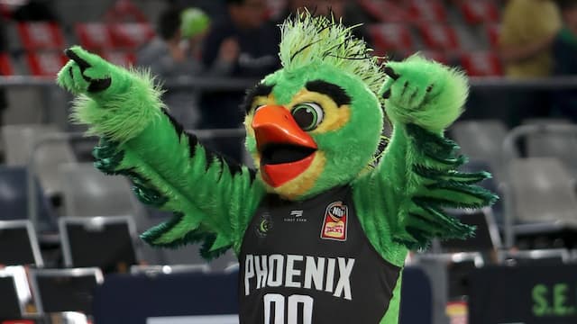 South East Melbourne Phoenix artwork 8