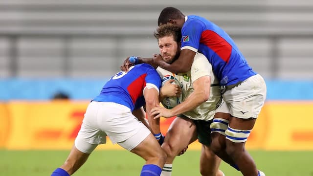 Namibia Rugby artwork 8