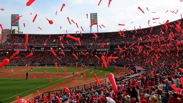 Hiroshima Toyo Carp artwork 8