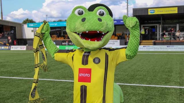 Harrogate Town FC artwork 8