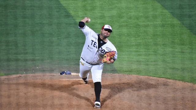 Tecolotes de los Dos Laredos artwork 8