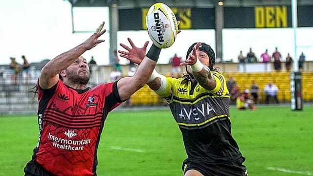 Houston SaberCats artwork 8