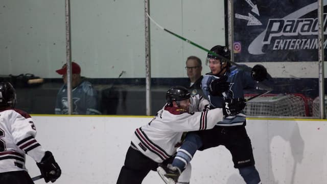 Botany Swarm artwork 5