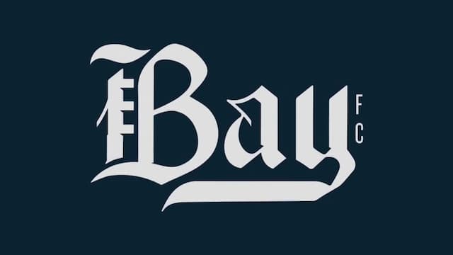 Bay FC artwork 8