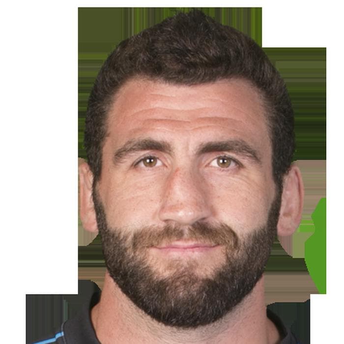 Mikheil Gachechiladze