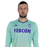 Danijel Subasic