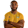 Yacine Brahimi