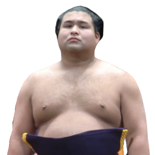 Takayasu Akira