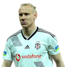 Domagoj Vida