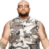 Bubba Ray Dudley