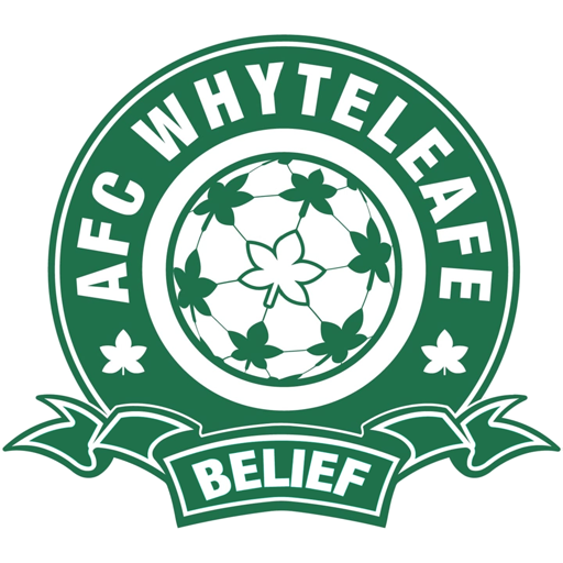 AFC Whyteleafe artwork 1