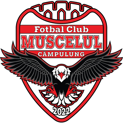 Câmpulung Muscel badge