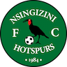 Nsingizini Hotspurs