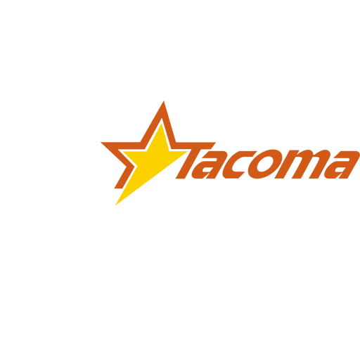 Tacoma Stars artwork 1