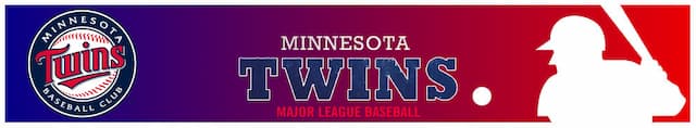Minnesota Twins artwork 4