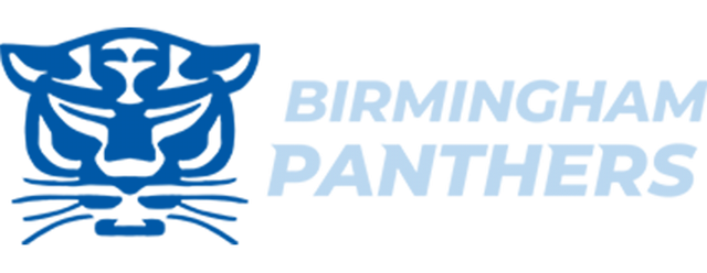 Birmingham Panthers artwork 2