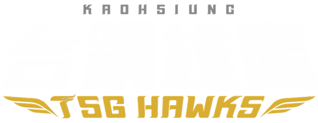TSG Hawks artwork 2