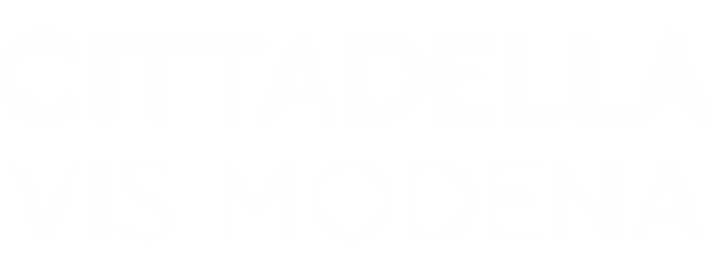 Cittadella Vis Modena artwork 2