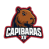 Capibaras XV
