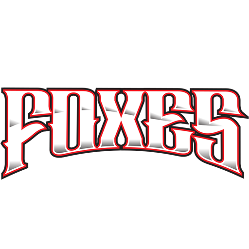 Pully Lausanne Foxes artwork 1