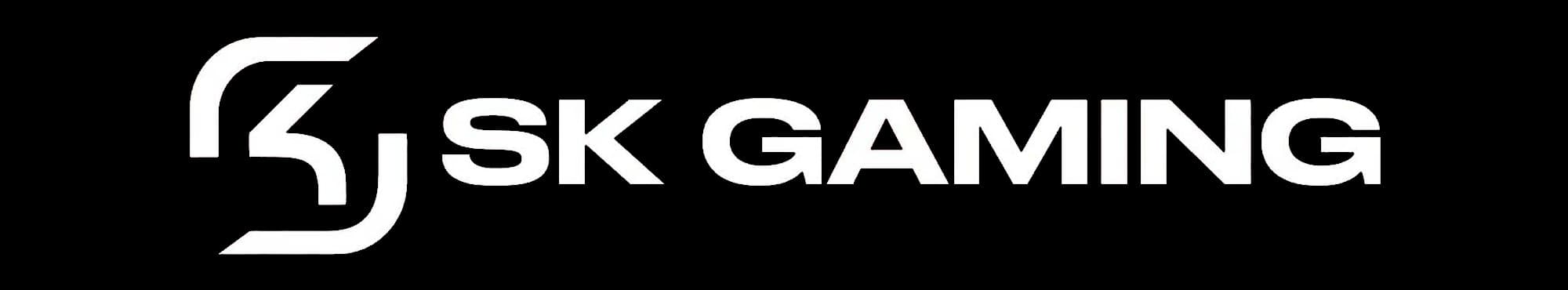 SK Gaming banner