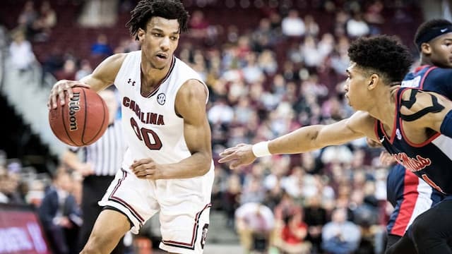 South Carolina artwork 8